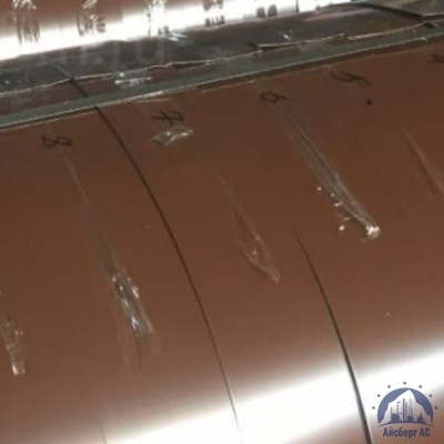 Штрипс с полимерным покрытием 0,45х1250 мм RAL8017 купить в Адлере